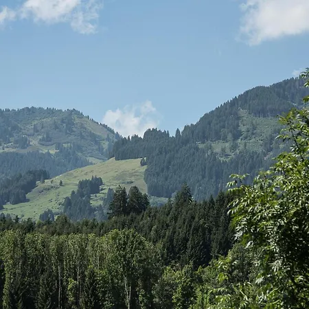 Gaisbock Der Fischen im Allgaeu